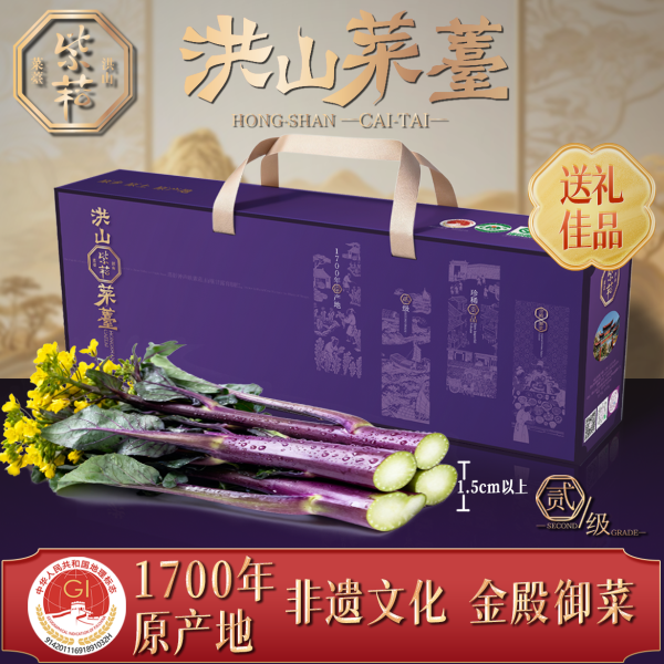 正宗紫菘原产地洪山菜薹1500克